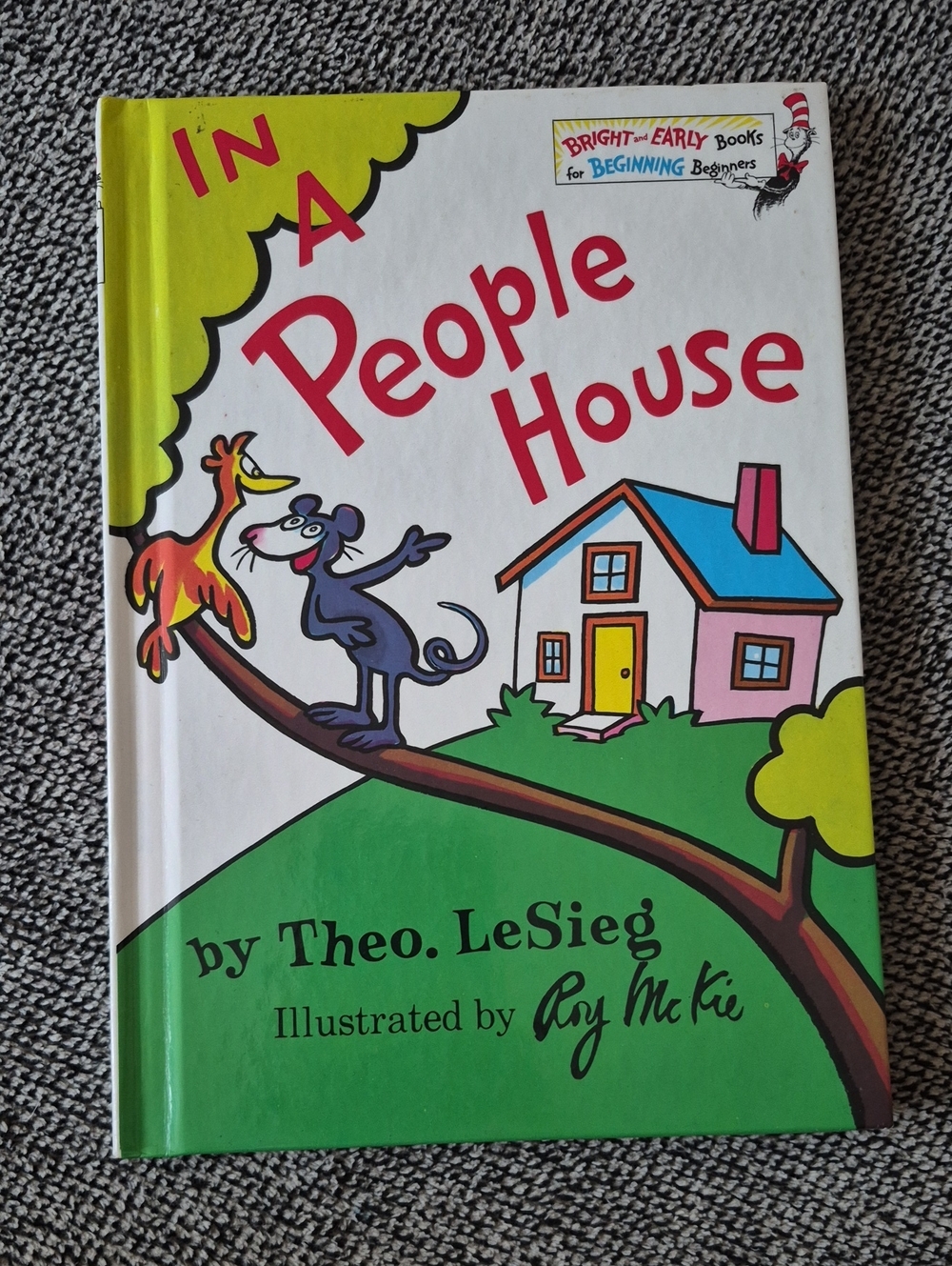In A People House Children's Book - Green Cover
